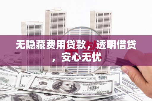 大厂无隐藏费用贷款，透明借贷，安心无忧