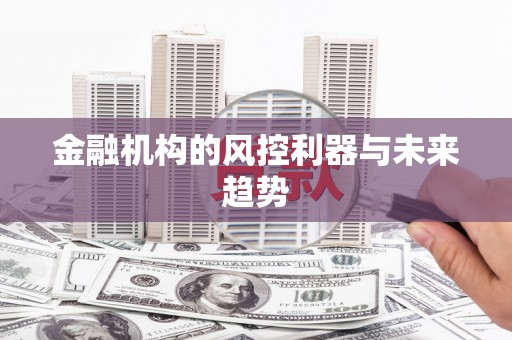 大厂金融机构的风控利器与未来趋势