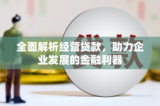 大厂全面解析经营贷款，助力企业发展的金融利器