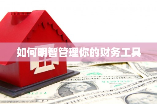 大厂如何明智管理你的财务工具