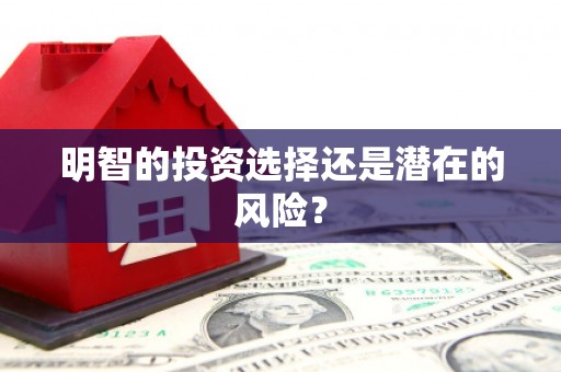 大厂明智的投资选择还是潜在的风险？