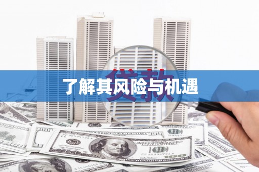 大厂了解其风险与机遇