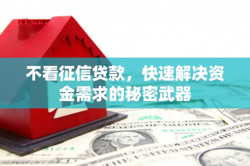 大厂不看征信贷款，快速解决资金需求的秘密武器