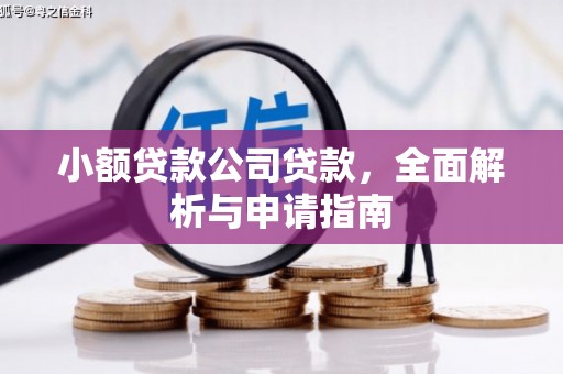 大厂小额贷款公司贷款，全面解析与申请指南