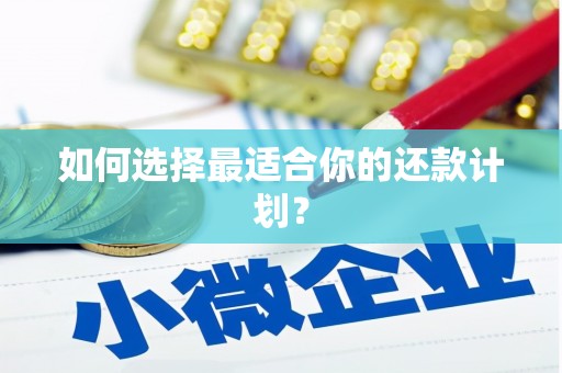 大厂如何选择最适合你的还款计划？