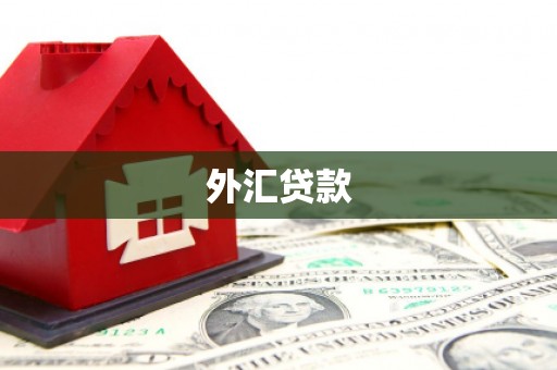 大厂外汇贷款