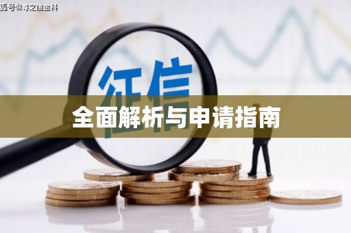 大厂全面解析与申请指南