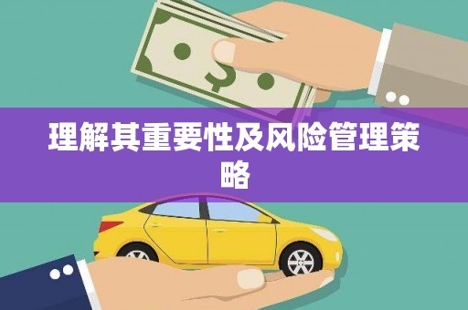 大厂理解其重要性及风险管理策略