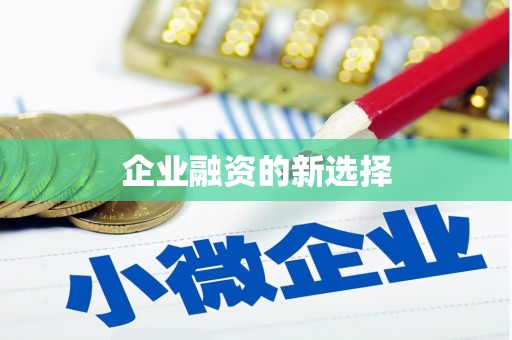 大厂企业融资的新选择