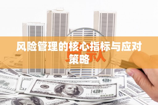大厂风险管理的核心指标与应对策略