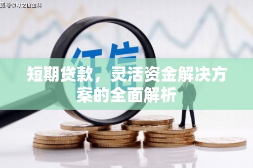 大厂短期贷款，灵活资金解决方案的全面解析