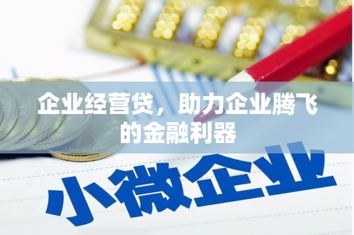 大厂企业经营贷，助力企业腾飞的金融利器