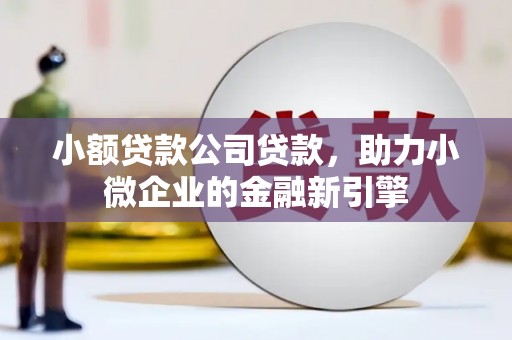 大厂小额贷款公司贷款，助力小微企业的金融新引擎