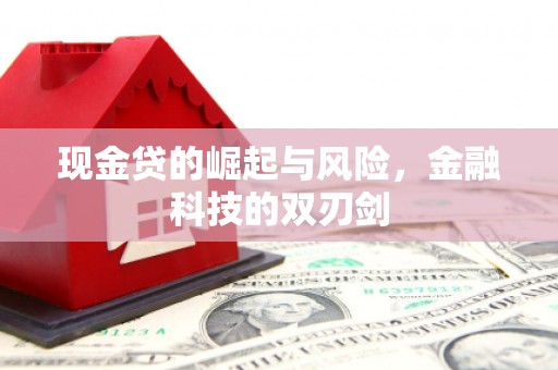 大厂现金贷的崛起与风险，金融科技的双刃剑