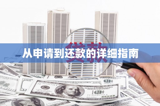 大厂从申请到还款的详细指南