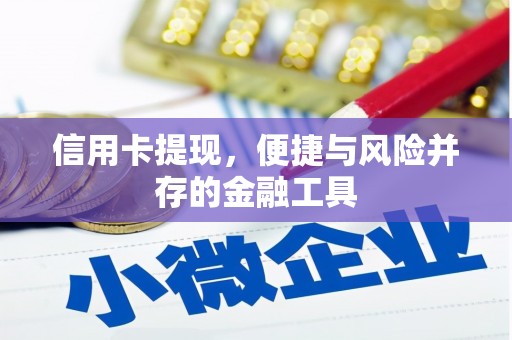 大厂信用卡提现，便捷与风险并存的金融工具