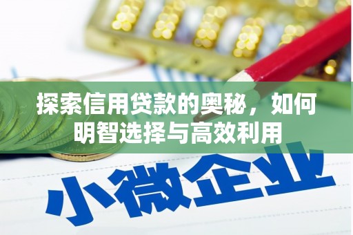 大厂探索信用贷款的奥秘，如何明智选择与高效利用