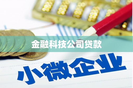 大厂金融科技公司贷款