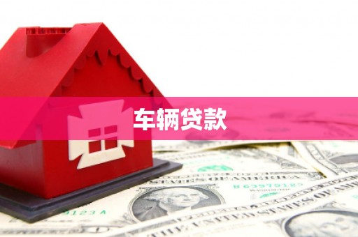 大厂车辆贷款