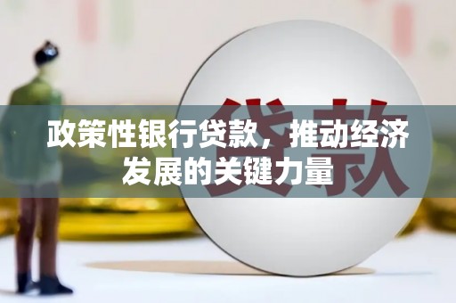 大厂政策性银行贷款，推动经济发展的关键力量