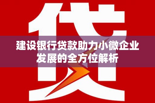 大厂建设银行贷款助力小微企业发展的全方位解析