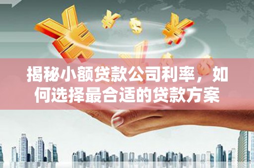 大厂揭秘小额贷款公司利率，如何选择最合适的贷款方案