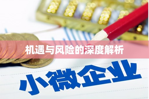 大厂机遇与风险的深度解析