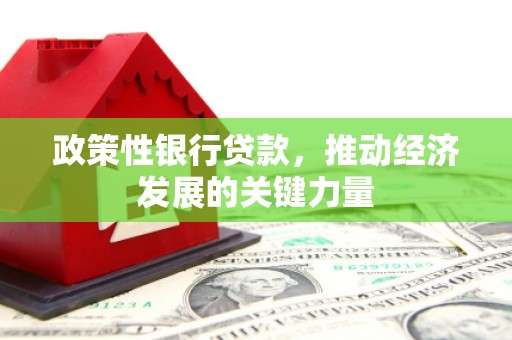 大厂政策性银行贷款，推动经济发展的关键力量