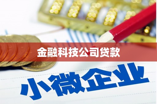 大厂金融科技公司贷款
