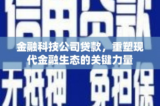 大厂金融科技公司贷款，重塑现代金融生态的关键力量