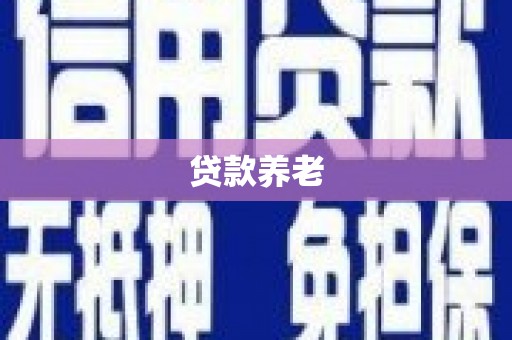 大厂贷款养老