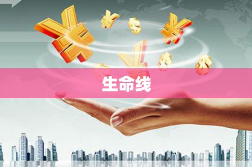 大厂生命线