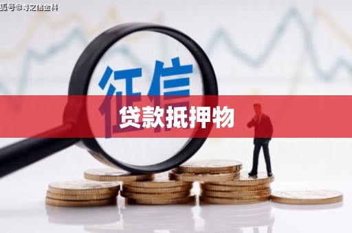 大厂贷款抵押物