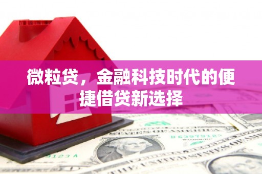 大厂微粒贷，金融科技时代的便捷借贷新选择