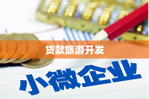 大厂贷款旅游开发