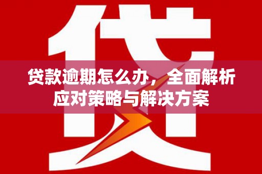 大厂贷款逾期怎么办，全面解析应对策略与解决方案