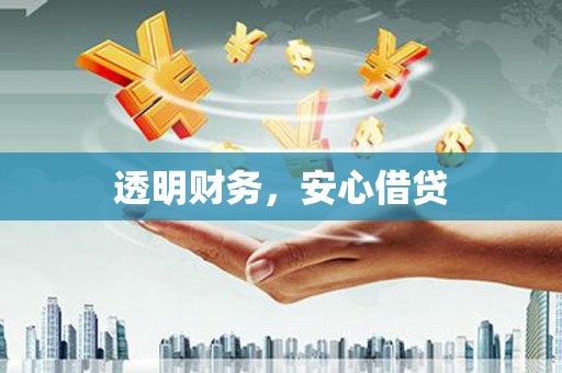 大厂透明财务，安心借贷