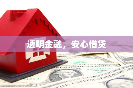大厂透明金融，安心借贷