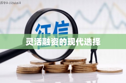 大厂灵活融资的现代选择