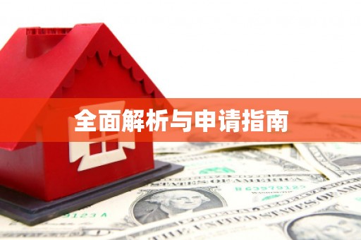 大厂全面解析与申请指南