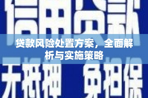 大厂贷款风险处置方案，全面解析与实施策略