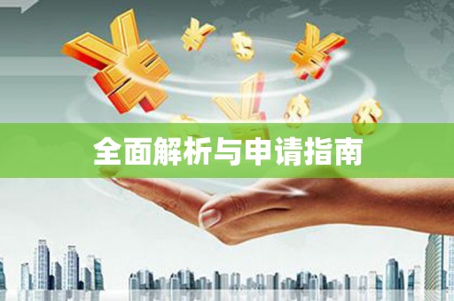 大厂全面解析与申请指南