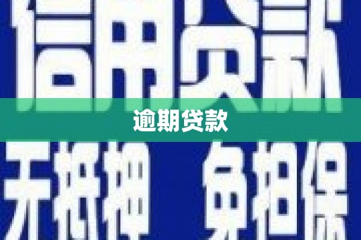 大厂逾期贷款
