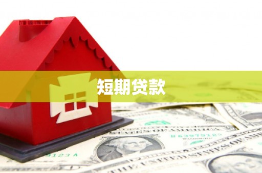 大厂短期贷款