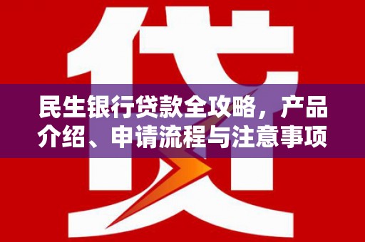 大厂民生银行贷款全攻略，产品介绍、申请流程与注意事项